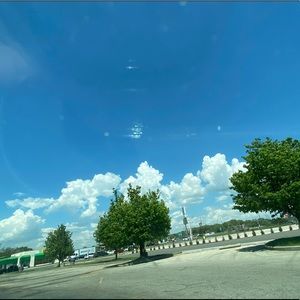 Meet your Posher, Bailey